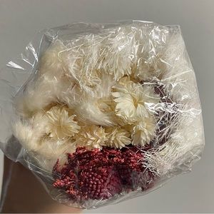 Natural Pampas Grass